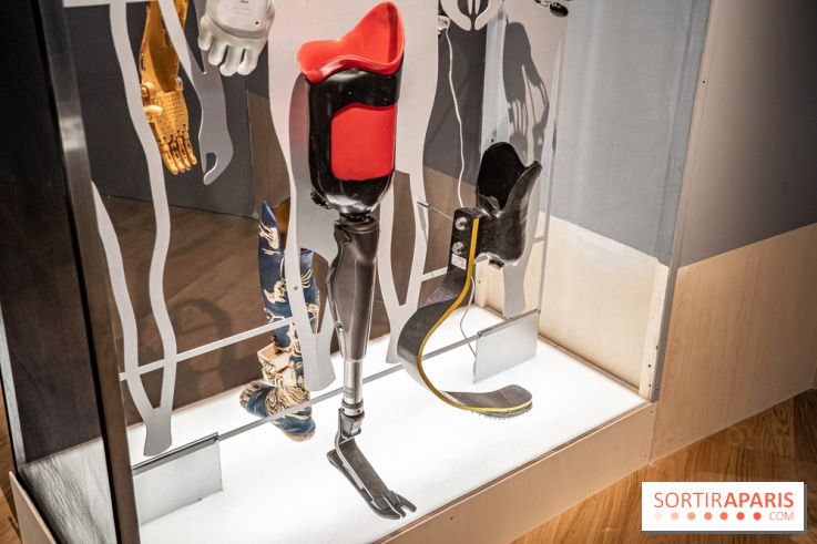 Exposition Aux frontières de l'humain au Musée de l'Homme