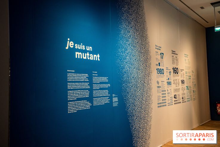 Exposition Aux frontières de l'humain au Musée de l'Homme