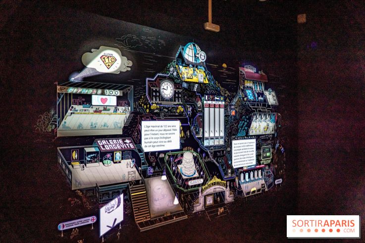 Exposition Aux frontières de l'humain au Musée de l'Homme