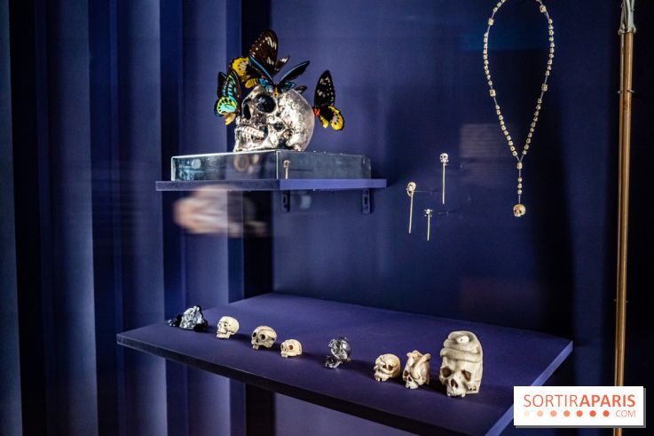 Exposition Aux frontières de l'humain au Musée de l'Homme