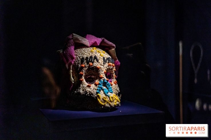 Exposition Aux frontières de l'humain au Musée de l'Homme