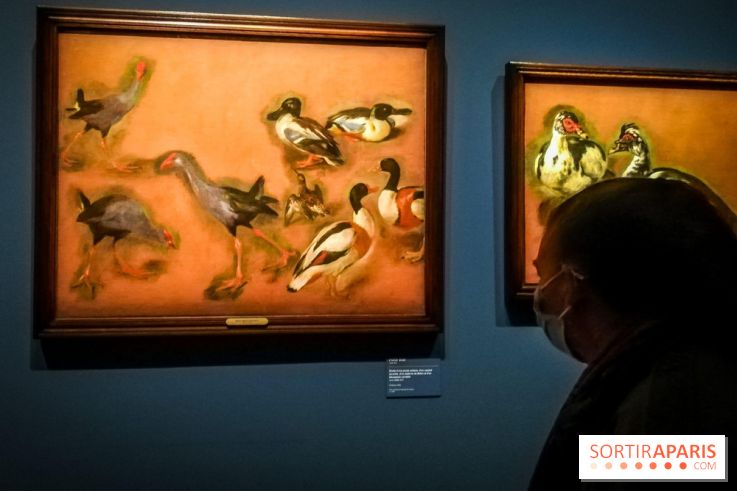 Les animaux du Roi, une exposition qui a du chien au Château de Versailles - nos photos