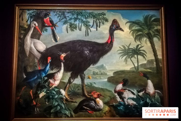 Les animaux du Roi, une exposition qui a du chien au Château de Versailles - nos photos