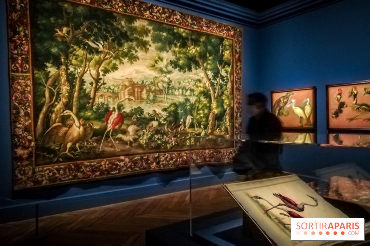Les animaux du Roi, une exposition qui a du chien au Château de Versailles - nos photos