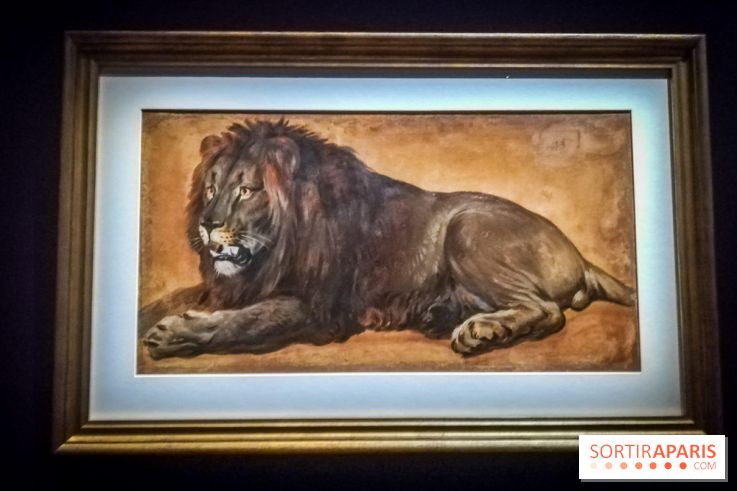 Les animaux du Roi, une exposition qui a du chien au Château de Versailles - nos photos