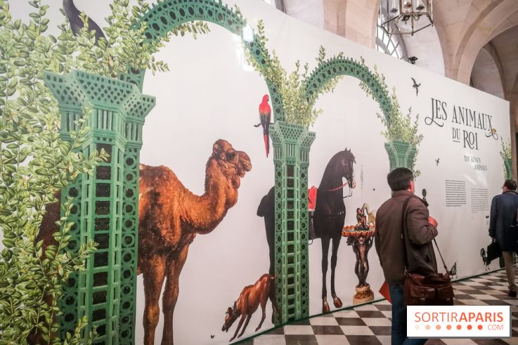 Les animaux du Roi, une exposition qui a du chien au Château de Versailles - nos photos