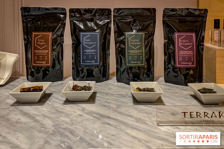 Terrake, le spa de l'hôtel Bowmann pour un moment de détente à deux pas des Champs-Elysées