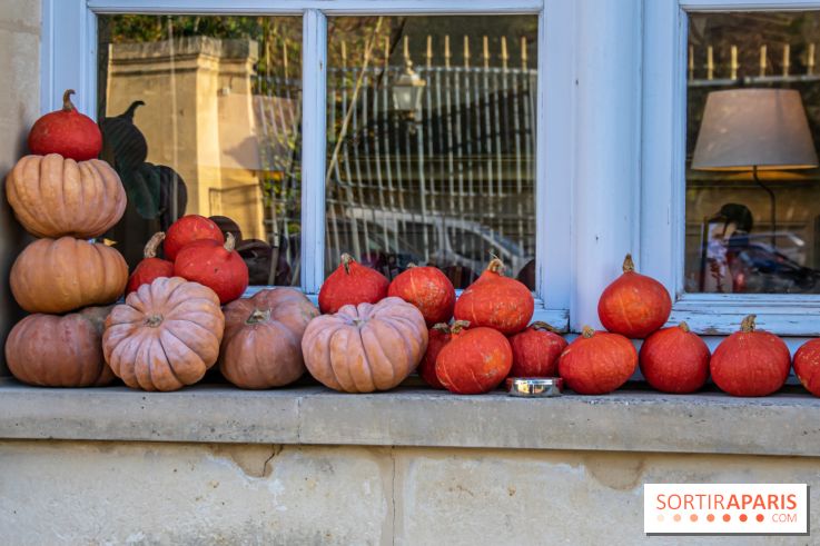 2023年のハロウィーン：Gally Farmsのパンプキン・フェスティバルに