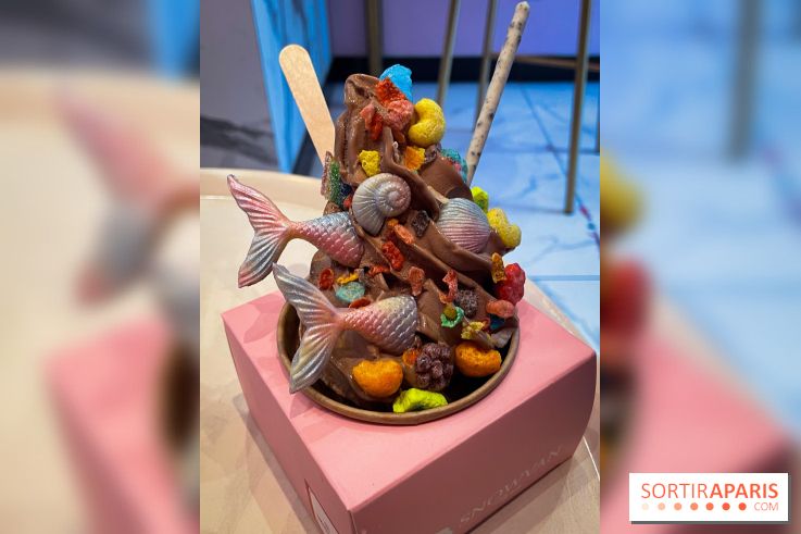 Snowvan, le spot aux bubble tea et glaces insolites