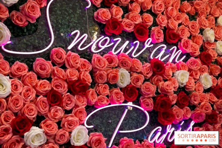 Snowvan, le spot aux bubble tea et glaces insolites