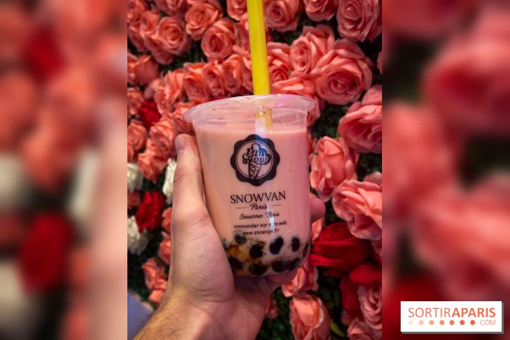 Snowvan, le spot aux bubble tea et glaces insolites