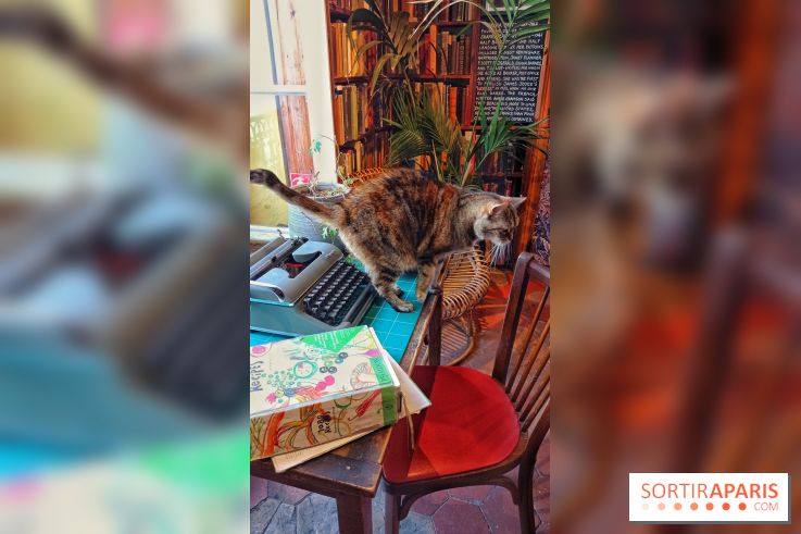 Shakespeare and Company, le café-librairie le plus anglais de Paris