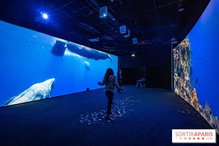 Photos : Odyssée sensorielle, l’expo immersive au Museum 