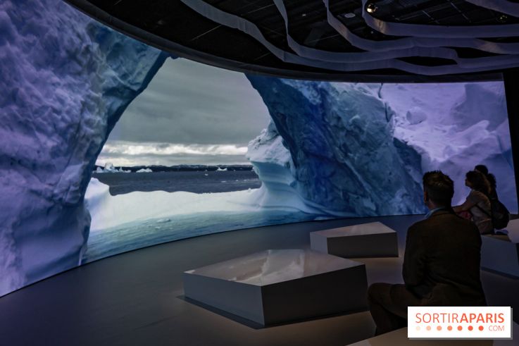 Photos : Odyssée sensorielle, l’expo immersive au Museum 