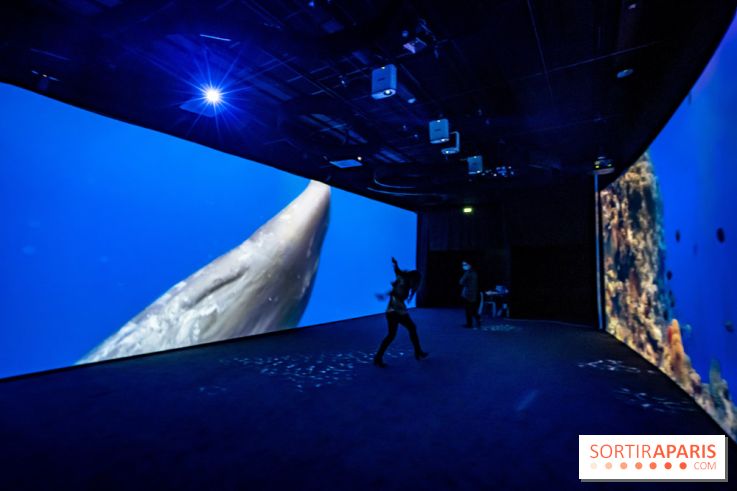 Photos : Odyssée sensorielle, l’expo immersive au Museum 
