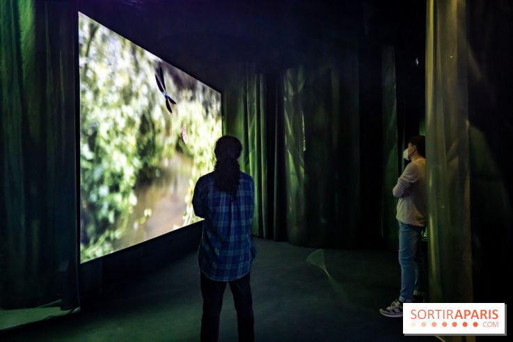 Photos : Odyssée sensorielle, l’expo immersive au Museum 