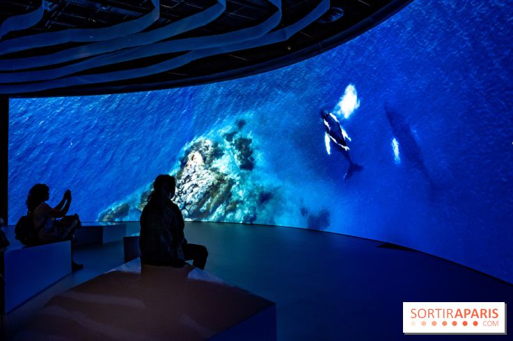 Photos : Odyssée sensorielle, l’expo immersive au Museum 