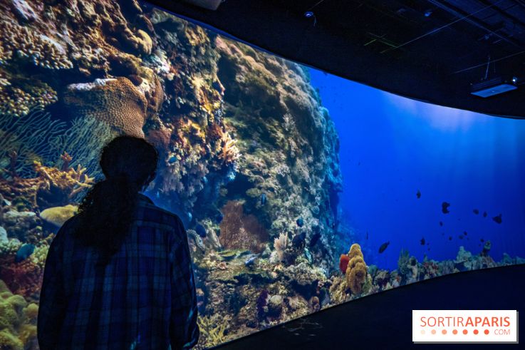 Photos : Odyssée sensorielle, l’expo immersive au Museum 