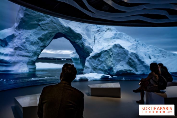 Photos : Odyssée sensorielle, l’expo immersive au Museum 