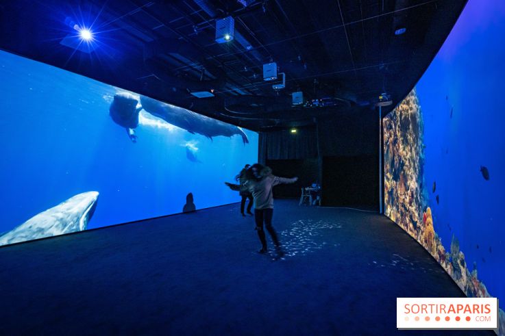 Photos : Odyssée sensorielle, l’expo immersive au Museum 