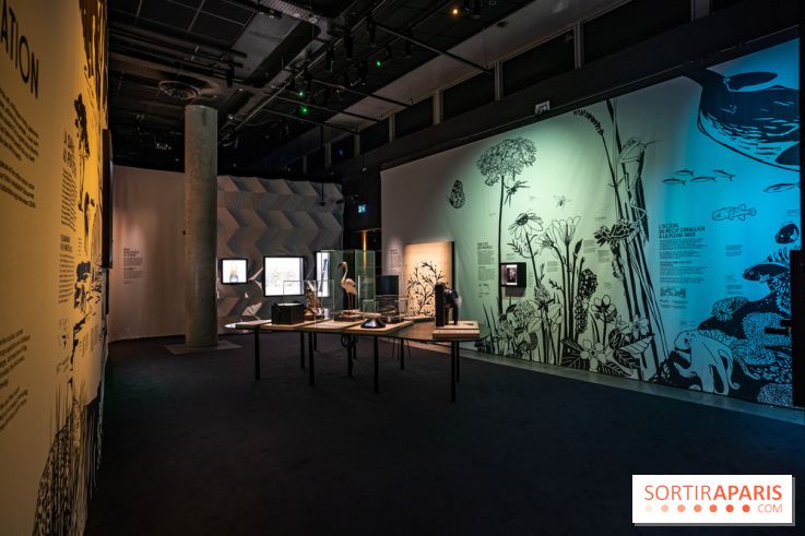 Photos : Odyssée sensorielle, l’expo immersive au Museum 