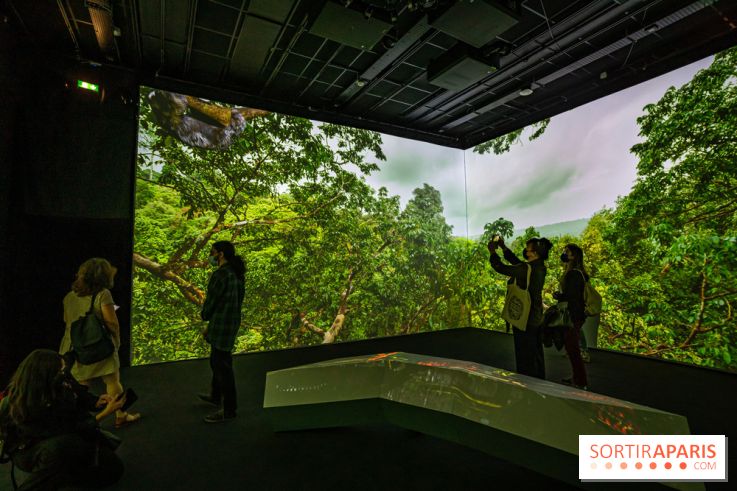 Photos : Odyssée sensorielle, l’expo immersive au Museum 
