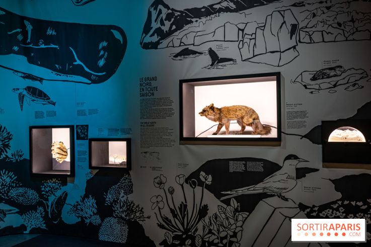 Photos : Odyssée sensorielle, l’expo immersive au Museum 