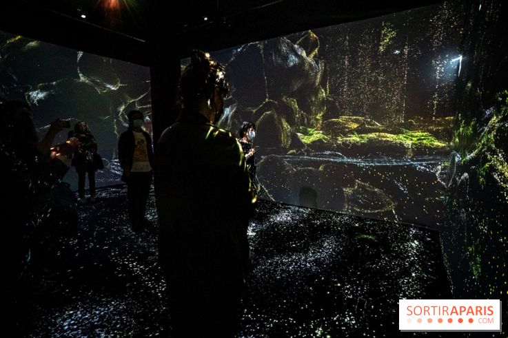Photos : Odyssée sensorielle, l’expo immersive au Museum 