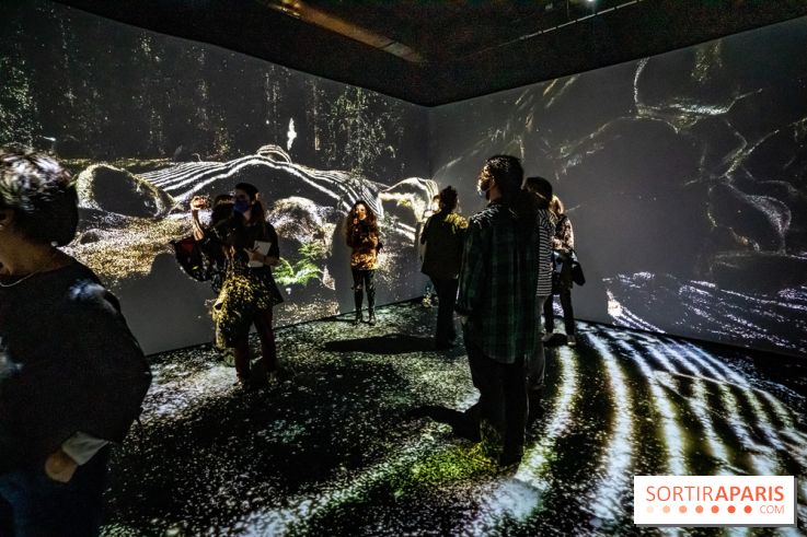Photos : Odyssée sensorielle, l’expo immersive au Museum 