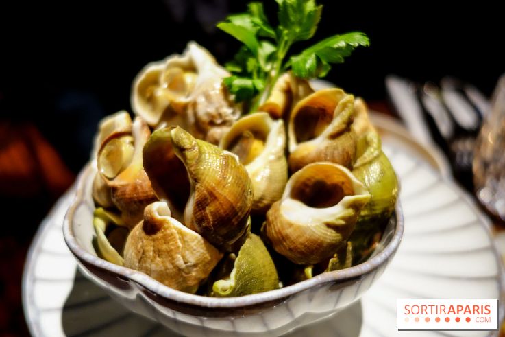 Le Petit Victor Hugo, nos photos