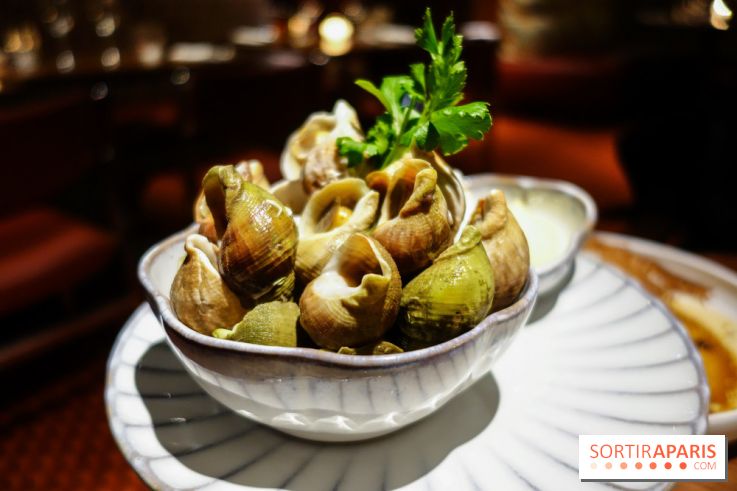 Le Petit Victor Hugo, nos photos