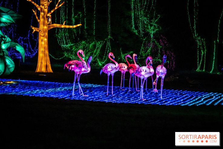 Thoiry Lumières Sauvages 2021-2022