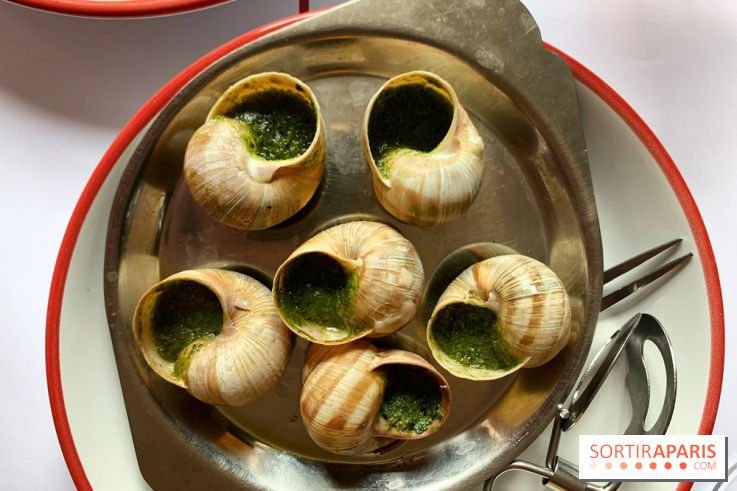 Bouillon République