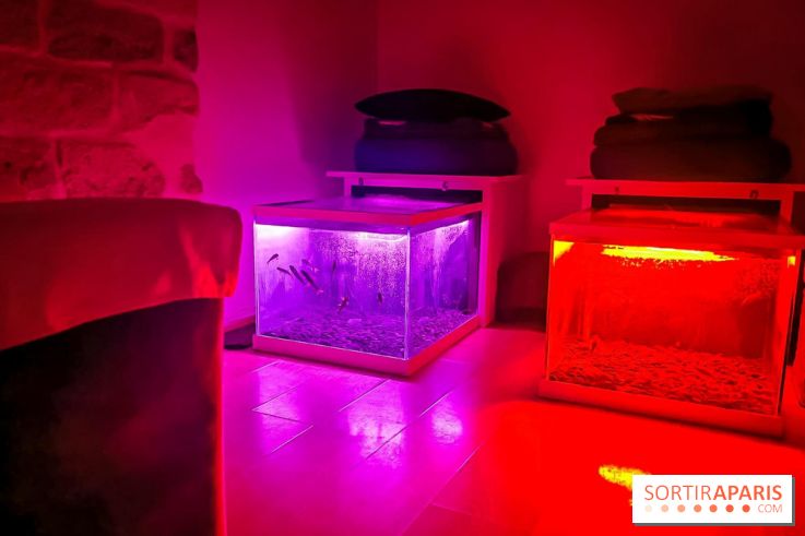 Un bar à sieste à Paris : offrez-vous un moment de détente avec ZZZen