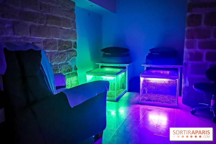 Un bar à sieste à Paris : offrez-vous un moment de détente avec ZZZen