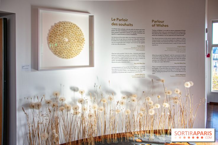 Le Musée Guimet propose une Carte blanche à Duy Anh Nhan Duc