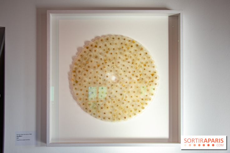 Le Musée Guimet propose une Carte blanche à Duy Anh Nhan Duc