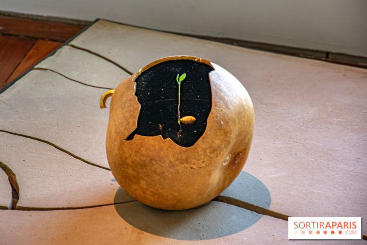 Le Musée Guimet propose une Carte blanche à Duy Anh Nhan Duc