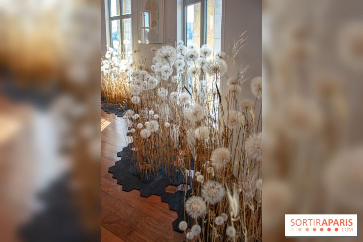 Le Musée Guimet propose une Carte blanche à Duy Anh Nhan Duc