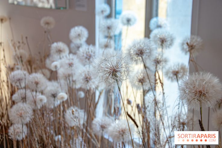 Le Musée Guimet propose une Carte blanche à Duy Anh Nhan Duc