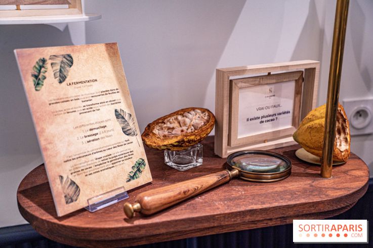 La Bûche Cabosse et les créations de Noël de CinqSens 2021