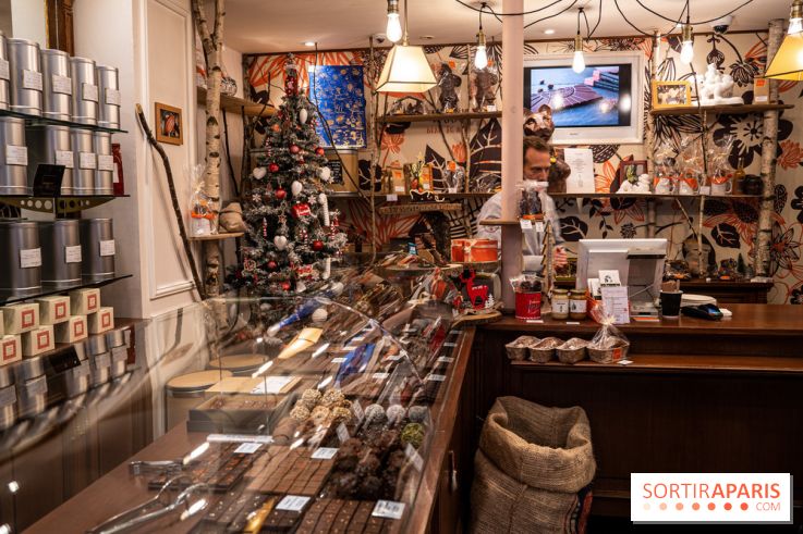 La Bûche de Noël de la Reine Astrid au mucilage 