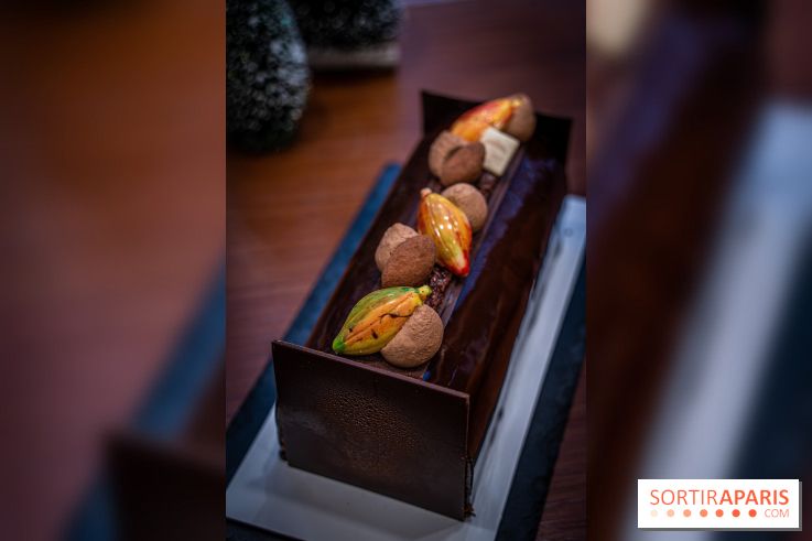 La Bûche de Noël de la Reine Astrid au mucilage 