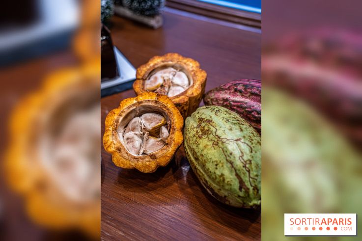 La Bûche de Noël de la Reine Astrid au mucilage 