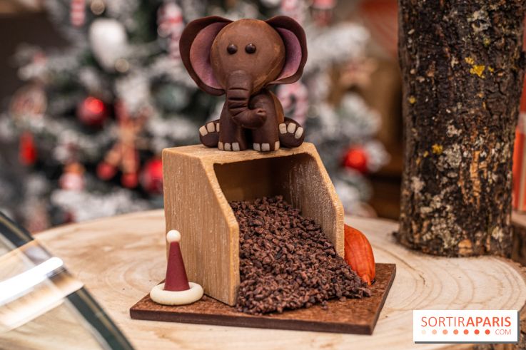 La Bûche de Noël de la Reine Astrid au mucilage 