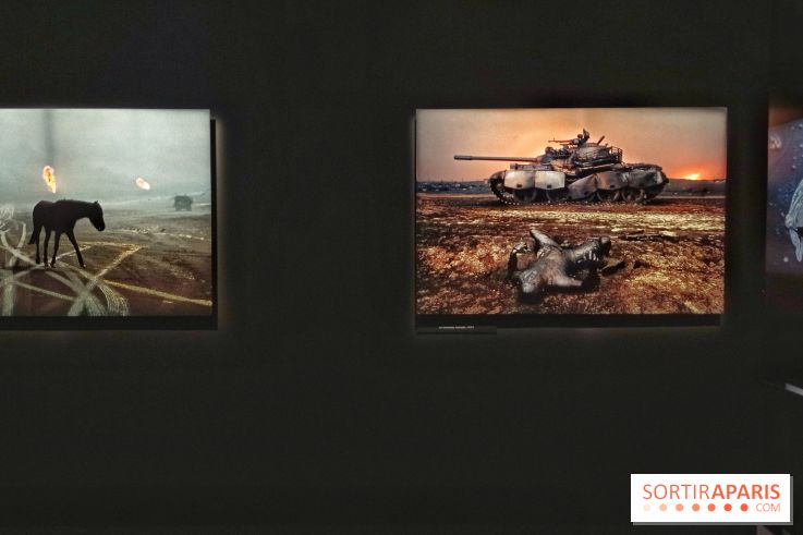 Le Monde de Steve McCurry, l'exposition photo dépaysante du Musée Maillol - nos photos