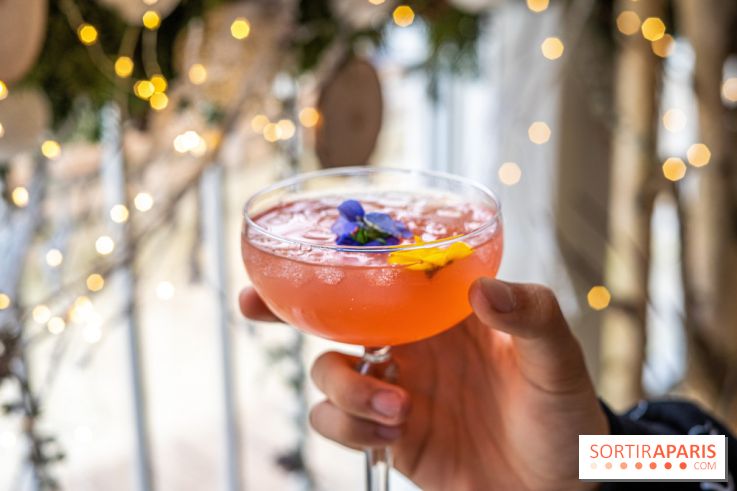 La Maison Louveciennes en chalet d'hiver, les photos