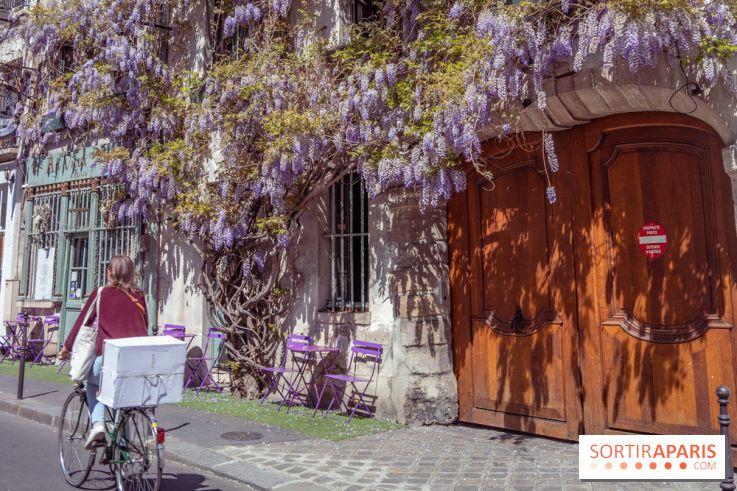 Les cafés fleuris de Paris