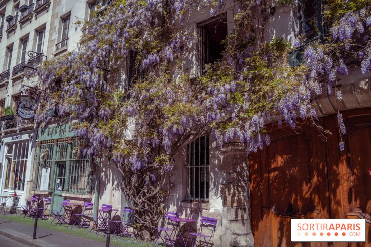 Les cafés fleuris de Paris