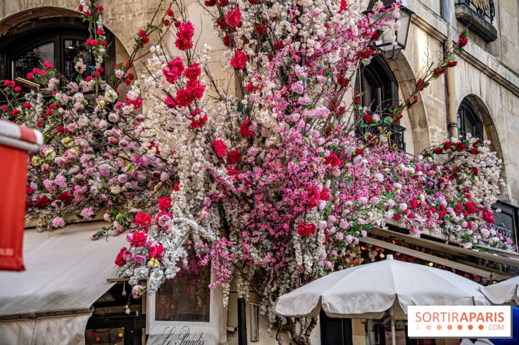Les cafés fleuris de Paris
